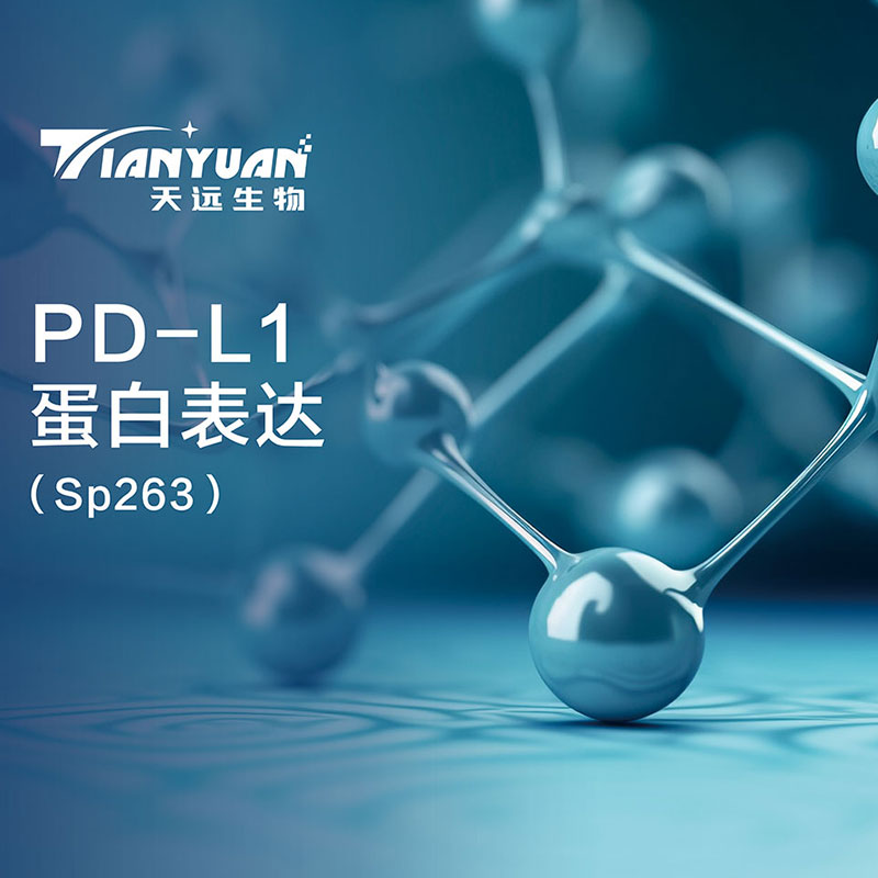 PD-L1蛋白表达